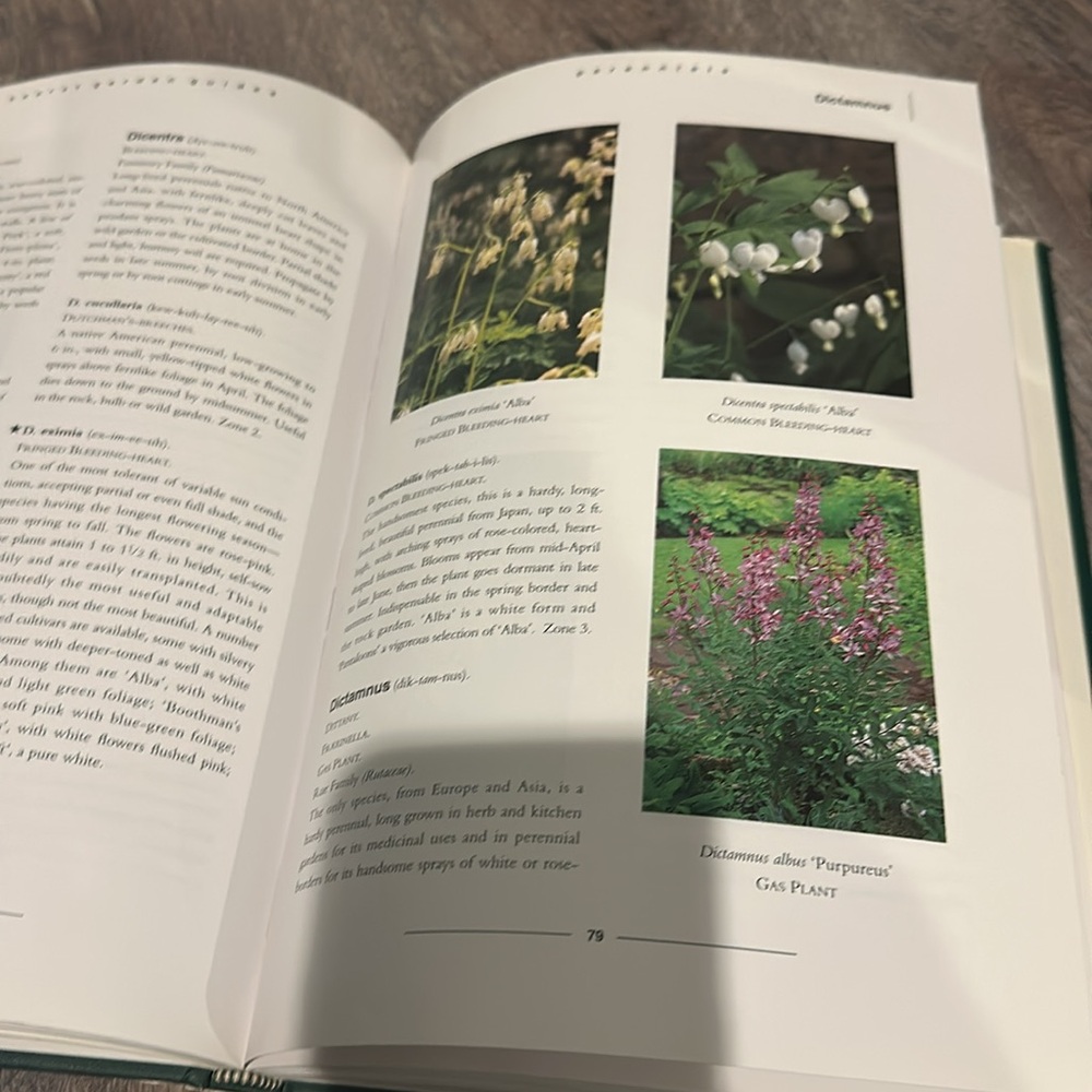 Perennials - Picture 3 of 3